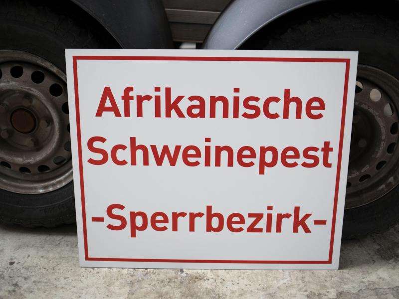 Schlagzeilen/Top-News