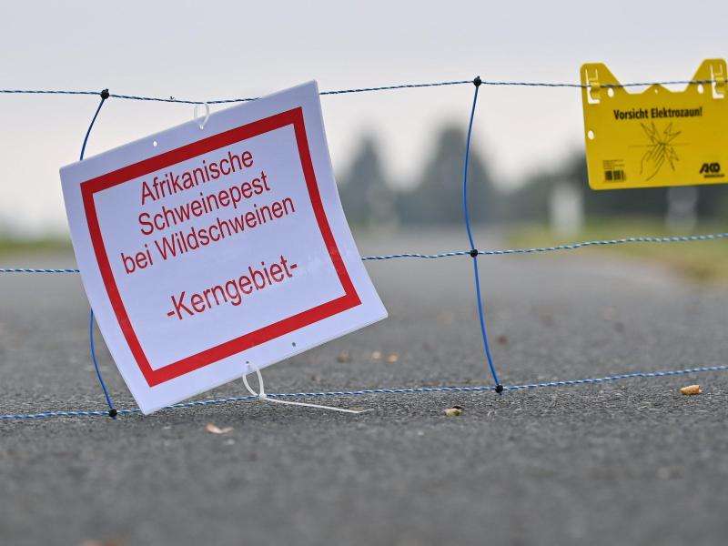 Schlagzeilen/Top-News