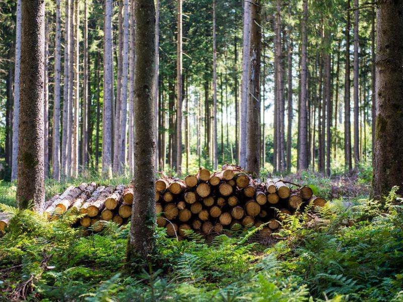 Märkte/Wirtschaft
