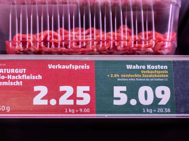 Märkte/Branchen
