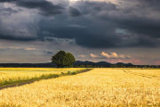 Bild von Thomas auf Pixabay