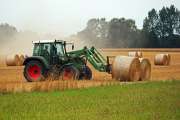 Landwirtschaft