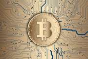 Bitcoin-Halving und Rekordhoch