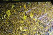Dortmund Fans