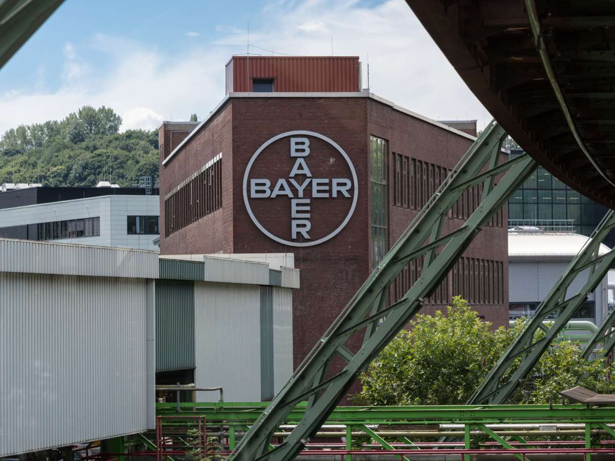 Bayer Vor Entscheidender Phase: Hoffnungsträger Gegen Parkinson Im Test - mlswme8