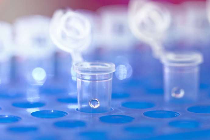 Pharma im Visier&colon; Trump belastet Novo Nordisk