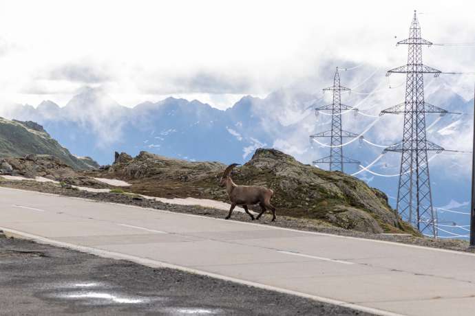 E&period;ON nach dem Kursrutsch&colon; Sind das bereits Kaufkurse&quest;