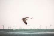 Der Wind hat sich gedreht