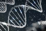 DNA-Strang
