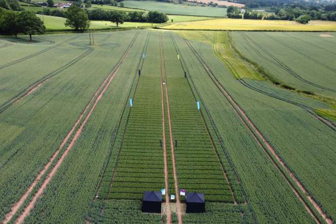 Dax beginnt Handelswoche mit Paukenschlag&colon; BASF &ndash; Welche Perspektiven hat die  Aktie&quest;