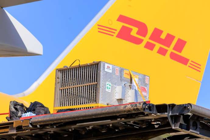 DHL Group nach Zahlen kr&auml;ftig unter Druck&colon; Ist die Marktreaktion &uuml;berzogen&quest;