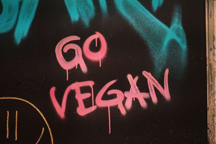 Symbolbild Vegan