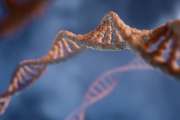 DNA-Strang
