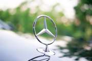 Mercedes Stern