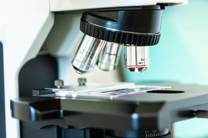 Roche baut US-Produktion aus: Roche Aktie in Rot Genentech investiert 750 Millionen Dollar in Werk in Oregon