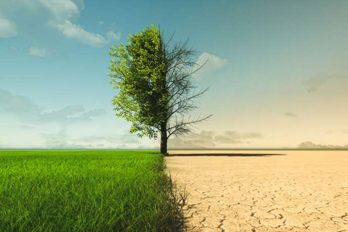 DAX-Klimacheck: Diese Konzerne fallen zurück