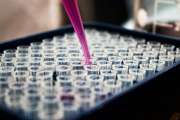 Novo Nordisk bricht dramatisch ein