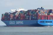 Cosco ausgebremst
