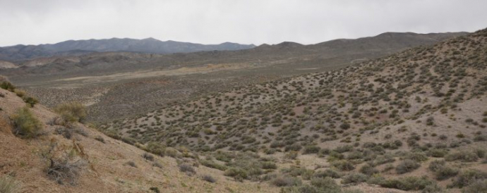 P2 Gold: Aktualisierte PEA verlängert das Minenleben