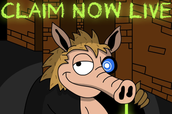 Snorter startet auf Solana und Ethereum&colon; Kursexplosion dank Token-Burn&quest;