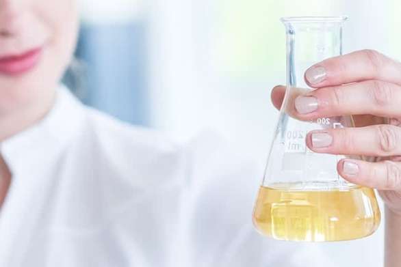 Bayer&colon; M&ouml;glicher Durchbruch im Glyphosat-Rechtsstreit &ndash; Gerinnungshemmer Asundexian verspricht Milliarden-Umsatzpotential&excl;