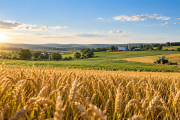 Alarm bei Evotec! Analysten sehen Vervielfachungspotenzial! Bayer und MustGrow mit News!