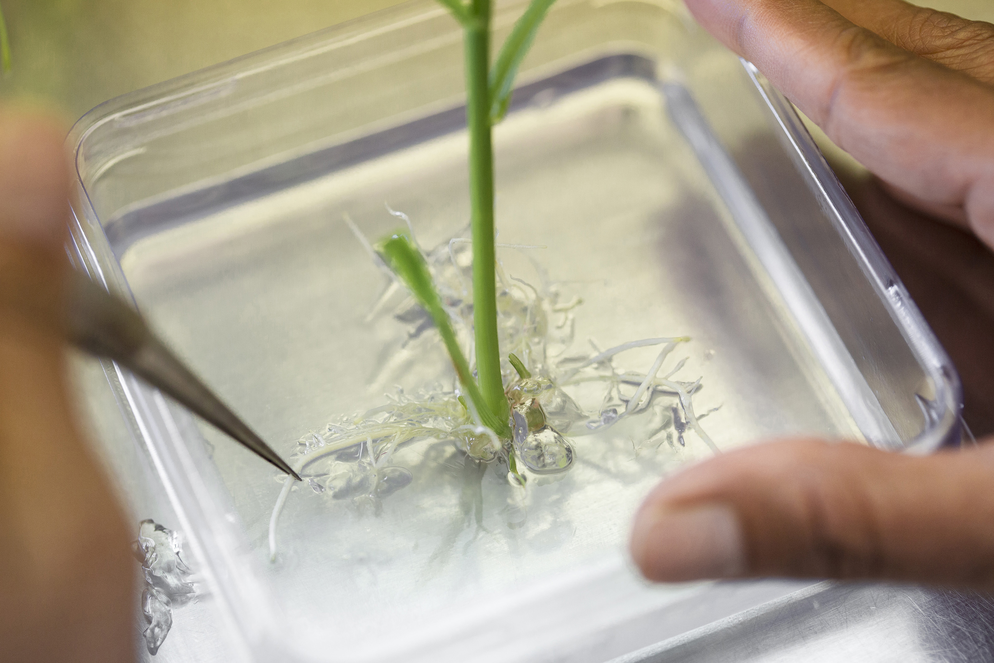 FinanzNachrichten News