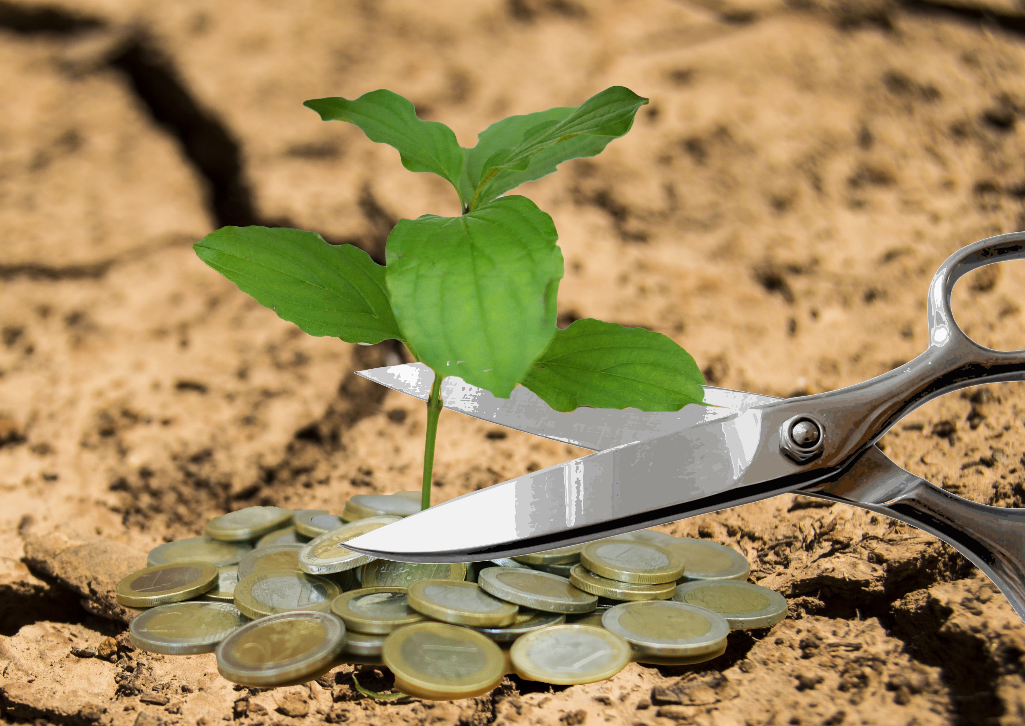 FinanzNachrichten News