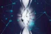 Novo Nordisk, Defence Therapeutics, Morphosys – Die Biotechs kommen