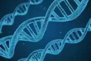 Übernahme-Gerüchte bei BioTech-Aktien: BioNTech, Formycon, Cardiol Therapeutics und Novo Nordisk im Fokus