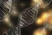 Formycon, Defence Therapeutics, Morphosys – Mächtig Bewegung in der Biotechbranche