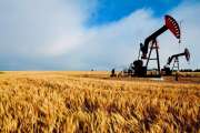 Saturn Oil + Gas, Nel ASA, RWE - Wie drei Energie-Giganten die Zukunft der globalen Energieversorgung neu definieren