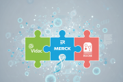 Wichtiges Puzzleteil im Kampf gegen Krebs: Vidac Pharma, Merck & Co., Roche