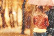 rain in the autumn park / young 25 years old couple man and woman walk under an umbrella in wet rainy weather, walk October lovers