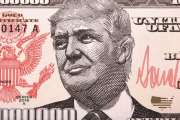 Donald Trump: Ein Porträt aus Geld