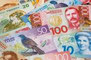 New Zealand money, all banknotes, New Zealand dollars, close up, financial background
