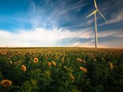 Bild von Pexels auf Pixabay 