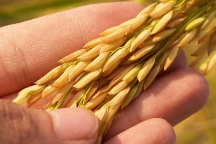 Chairman Len Jubber ermuntert Aktionäre zur Zeichnung der neuen Aktien