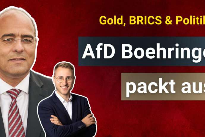 AfD Boehringer packt aus! : Wer regiert Deutschland wirklich?  EU-Schulden, Bundesbank-Verluste