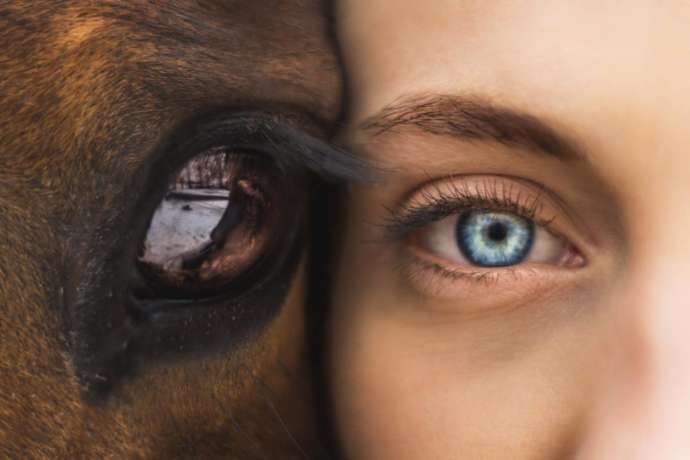 Aufgepasst: Jetzt ist es soweit…