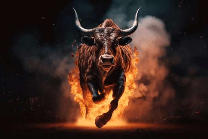 Bull-Run steht vor der Tür: Der neue Mega-Boom wird diesen Sektor revolutionieren!