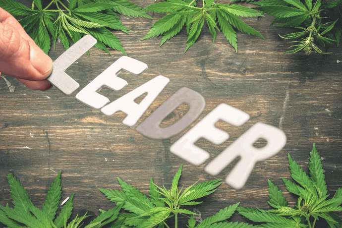 Die Wachstumsgeschichte: Analysten sehen kurzfristige +37 %-Chance bei diesem europäischen Marktführer