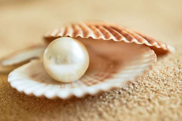 Geheime Wachstumsperle: Diese Zukunftsaktie könnte Ihr Depot revolutionieren!