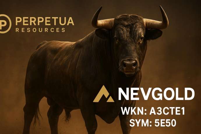 Könnte diese Penny-Aktie das nächste 12 € Perpetua werden?! Verpassen Sie nicht den Antimon-Boom!