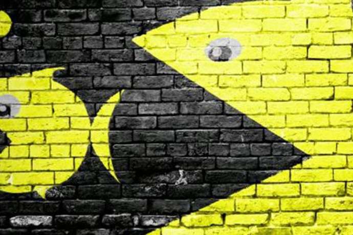 Breaking News&colon; &OpenCurlyDoubleQuote;Size Matters&rdquo; &ndash; Spark Energy Minerals ist der gr&ouml;&szlig;te Fisch im Teich&excl;