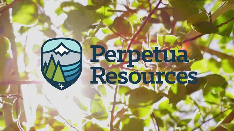 About - Perpetua Resources