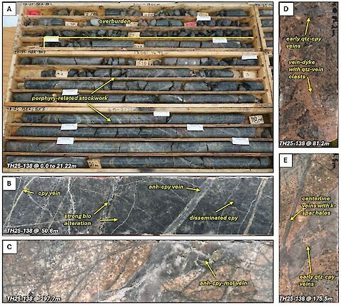 A collage of different types of rock
AI-generated content may be incorrect.