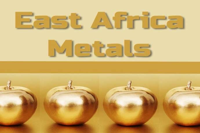 East Africa Metals: 3-2-1-Rallye – die Gold-Aktie für H2 2025?!
