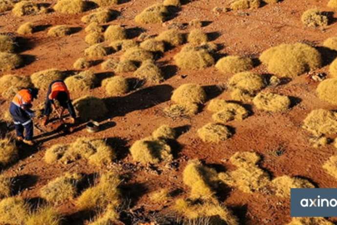 Kali Metals sichert 1,2 Millionen AUD für Exploration bei Marble Bar