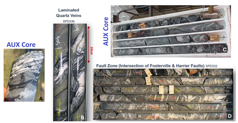 Several different types of rock
AI-generated content may be incorrect.